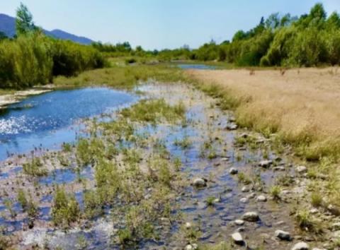 Через зміну клімату українські річки втратять до 40% води – дослідження Рис.1