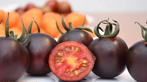 Чорні помідори вирощують на Черкащині Рис.1