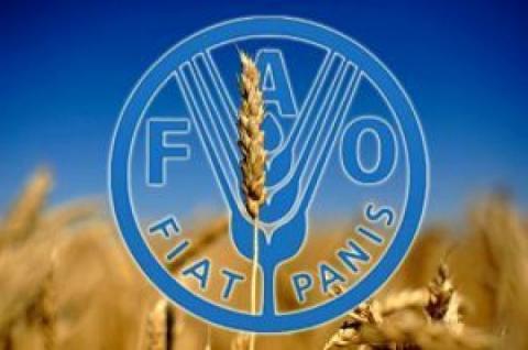 Індекс продовольчих цін ФАО за рік виріс майже на 40% Рис.1