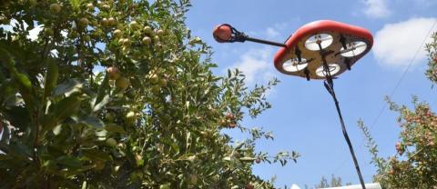 Ізраїльський стартап створив робота-безпілотника для збору врожаю фруктів Рис.1