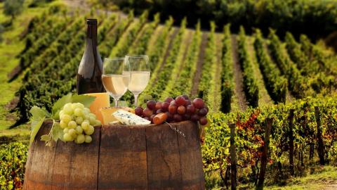 Мінагрополітики виставило на обговорення законопроект про виноград та виноградне вино Рис.1