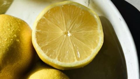 Новий сорт лимона Яффський оголошує свободу від кісточок Рис.1