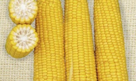 В Україні закупівельні ціни на кукурудзу підвищилися Рис.1