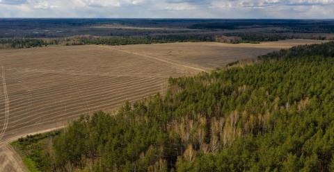 Зеленського закликали доєднатися до екологічної акції з відновлення лісосмуг Рис.1