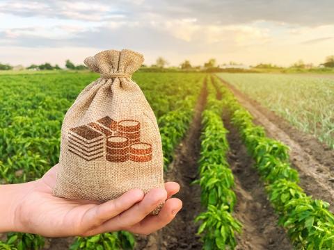 Аграрії отримають підтримку держави для страхування продукції Рис.1