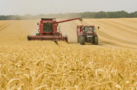 Аграрії Полтавщини намолотили понад 950 тисяч тонн зерна нового врожаю Рис.1