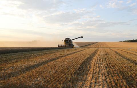 Аграрії всіх областей України розпочали збирання ранніх зернових та зернобобових культур Рис.1