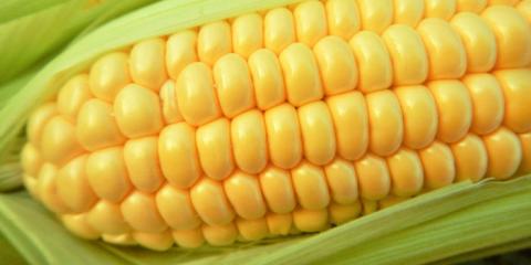 Ціна на цукрову кукурудзу формується у південних областях Рис.1