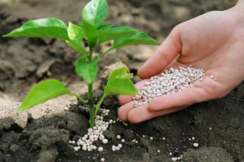 Нардеп озвучив основні переваги законопроекту про пестициди та хімікати для аграріїв Рис.1