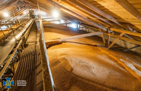 В ДПЗКУ виявили розкрадання зерна на 15 млн грн Рис.1
