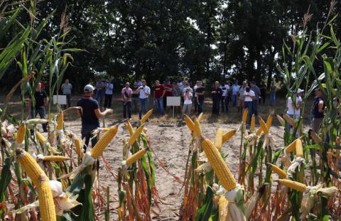 Digital Field-2021: визначено найефективніші технології живлення кукурудзи Рис.1