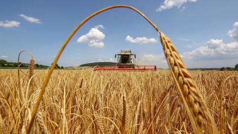 Експерти USDA значно знизили баланс світового попиту і пропозиції пшениці в 2021/22 МР Рис.1