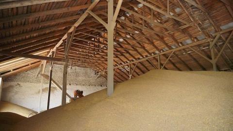 Елеватори ГК Прометей прийняли вже понад 320 тис. тонн зерна врожаю-2021 Рис.1