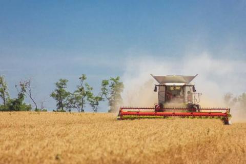 На Харківщині зібрали вже 2,7 млн тонн ранніх зернових Рис.1