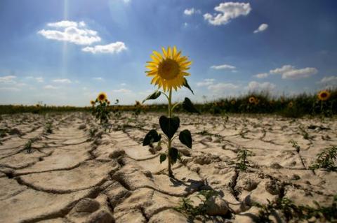 Проблеми через зміни клімату загрожують центральній Україні, – Мінагрополітики Рис.1