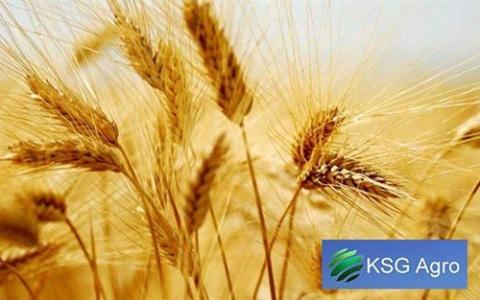 У KSG Agro фінішувало прибирання озимих культур Рис.1
