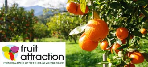 Україна приєднується до Міжнародної гостьової програми як «країна-імпортер» на іспанській виставці фруктів і овочів Fruit Attraction 2021 Рис.1