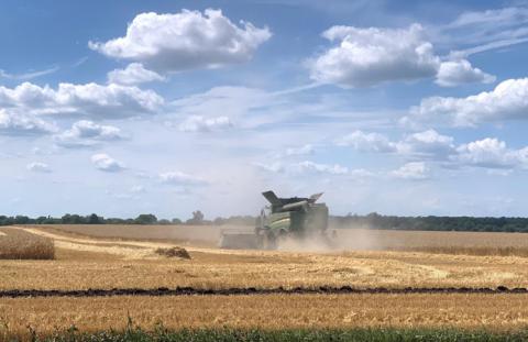 Урожайність пшениці в Cygnet — одна з кращих за роки діяльності Рис.1