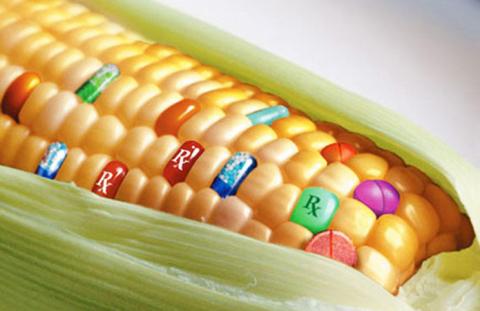 Уряд пропонує посилити державний контроль у сфері поводження з ГМО Рис.1