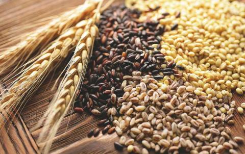 Черкаська область займає друге місце в Україні за врожайністю зернових культур Рис.1