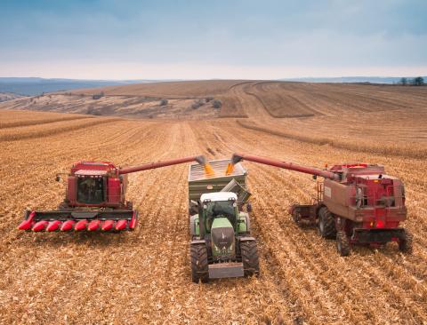 ДПЗКУ заготовила понад 200 тис. т зерна нового врожаю Рис.1