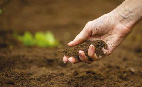 ФАО допоможе боротися з деградацією ґрунтів на Луганщині Рис.1