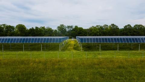 Фермери Німеччини збирають подвійний урожай за допомогою сонячної енергії Рис.1