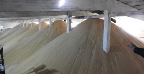 Гнідавський цукровий завод планує переробити близько 400 тис. т буряків Рис.1