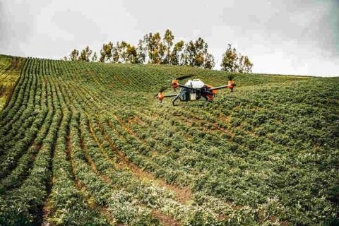 Компанія XAG розробила дрони для обробки полів пестицидами в умовах високогір'я Рис.1
