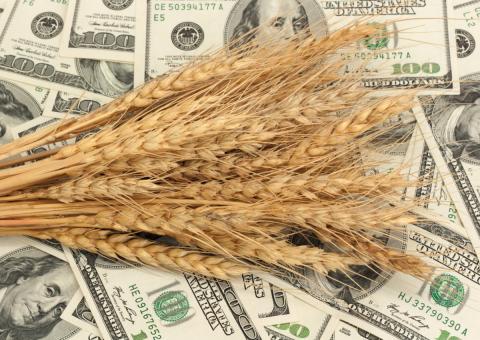 Погода у США, Україні та Бразилії найближчим часом визначатиме тенденції зернових ринків Рис.1
