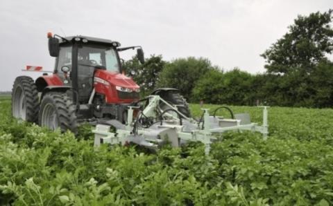 У Нідерландах придумали пристрій, який збирає колорадських жуків Рис.1