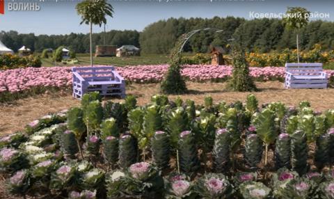 У Волинській області проходить фестиваль квітів Рис.1