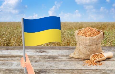 Україна збере найбільший за останні роки урожай гречки,- прогноз Рис.1
