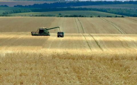 Урожай ранніх зернових на Кіровоградщині став рекордним за період незалежності України Рис.1