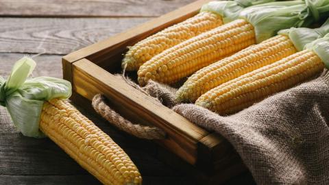 В Україні виросли закупівельні ціни на кукурудзу Рис.1
