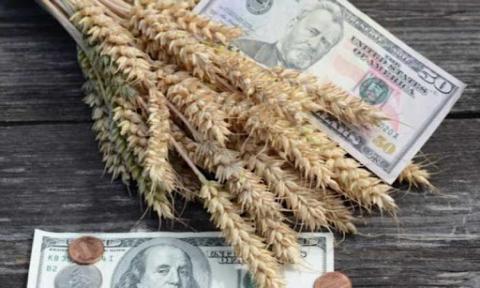 В Україні закупівельні ціни на пшеницю залишаються на високому рівні Рис.1