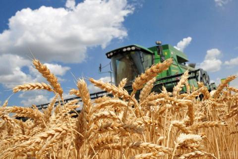 Експорт української пшениці перевищив 9 млн тонн Рис.1