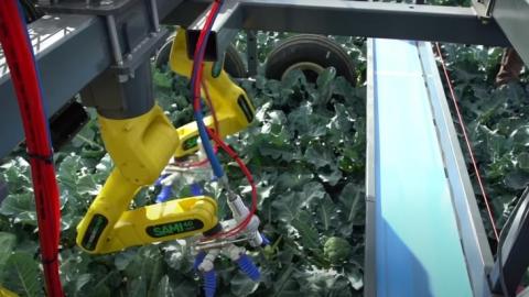 Канадський стартап розробив роботизований комплекс для збору брокколі Рис.1