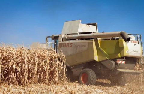 У KSG Agro стартувало прибирання кукурудзи та сівба озимих Рис.1