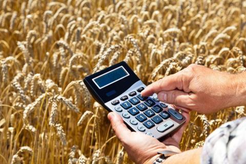 Україна у першому кварталі 2020/21 МР наростила експорт пшениці, ячменю та ріпаку Рис.1