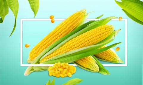 USDA збільшив прогноз світового виробництва та запасів кукурудзи Рис.1