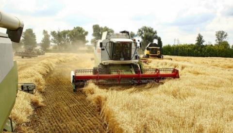 В Україні намолотили більше 52 мільйонів тонн зерна Рис.1