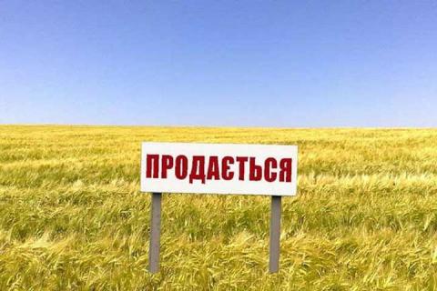 В Україні стартували електронні аукціони з оренди та продажу земель Рис.1