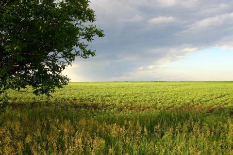 В Україні зареєстровано 26 898 земельні угоди Рис.1