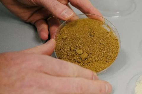 Вчені виростили "екологічну " каву в лабораторії Рис.1
