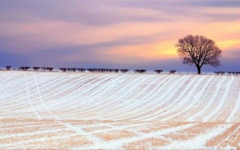 Які погодні сюрпризи підготує наступна зима для аграріїв Рис.1