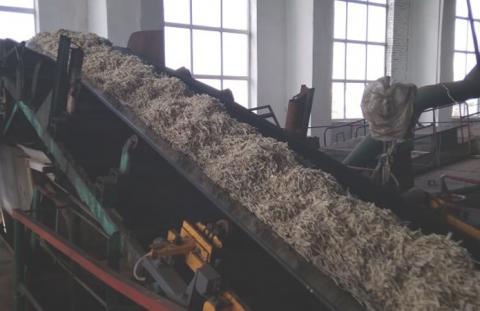 Єдиний на Чернігівщині цукровий завод виготовить понад 20 тис. т продукції Рис.1