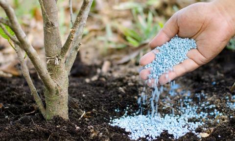 Затримки санітарно-епідеміологічної експертизи щодо агрохімікатів можуть зірвати весняну посівну в Україні – ЄБА Рис.1