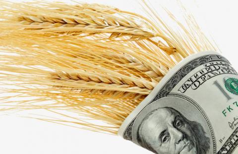 Аграрний фонд розпочинає закупати зерна врожаю-2022 Рис.1