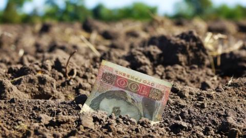 Фермери Одещини отримають державну компенсацію за втрачений врожай Рис.1